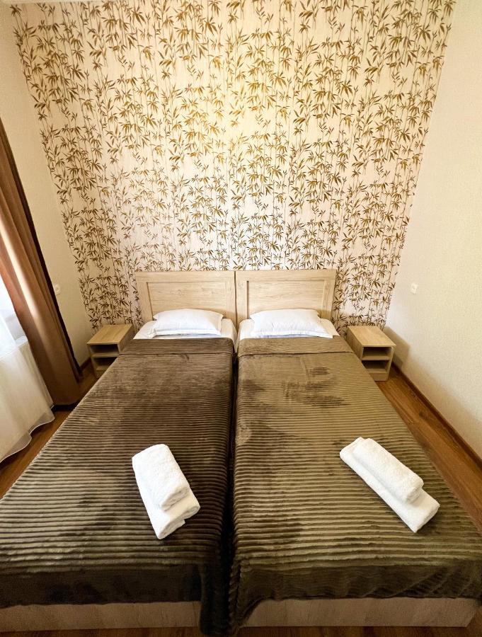 Royal Galaxy Apartment カズベギ エクステリア 写真